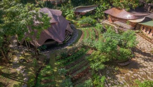 Alchemy Yoga and Meditation Center: Ubud’s Natural Beauty & Spiritual Energy Feed the Soul