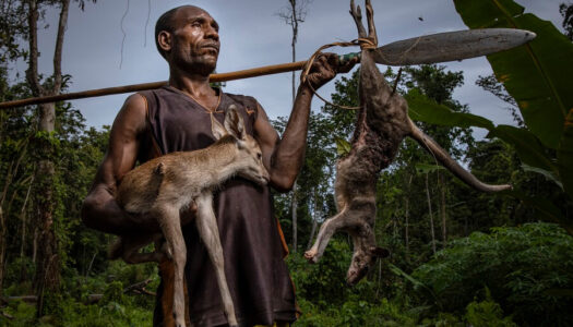 Living with Dignity: Papua’s Moi People