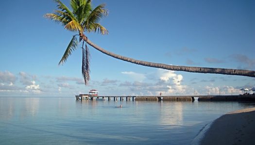 Let’s go below the surface – Diving at Wakatobi Island