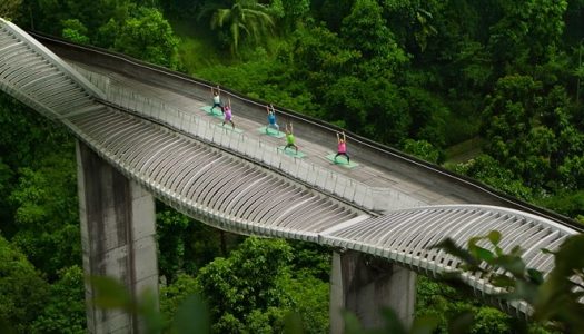 Urban Wellness Haven: Exploring the Different Experiences of Singapore for a Therapeutic Journey