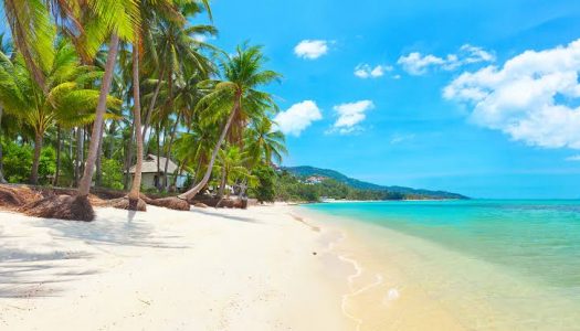 Samui Received More than 11K Room Nights Booked Until End of Year