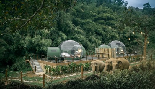 Jungle Bubble at Anantara Golden Triangle Elephant Camp & Resort